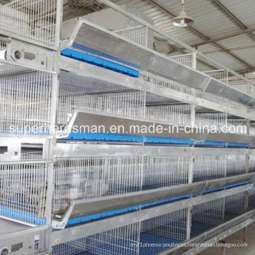 Tipos de H automático de alta calidad galvanizado capa de acero jaula de aves de corral